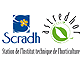 scradh
